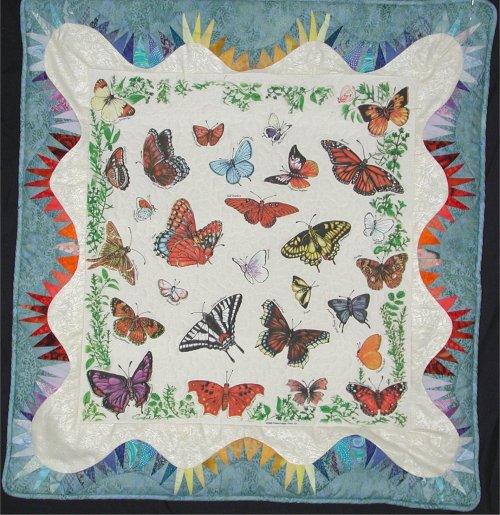 Butterfly Pillow for Angela